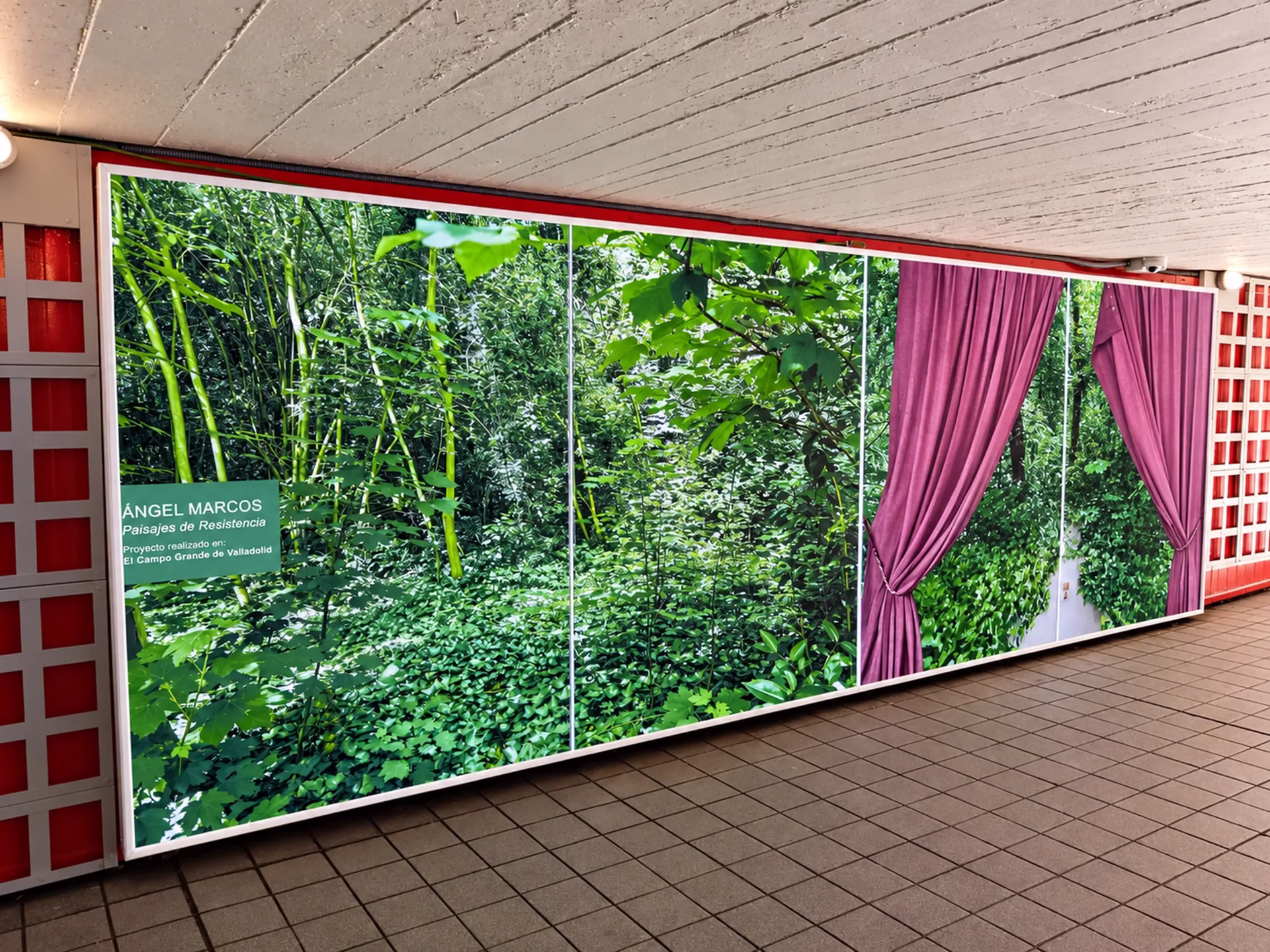 Caja de luz con una fotografía de vegetación y cortinas de Paisajes de Resistencia, de Ángel Marcos, instalada en el túnel del Arco de Ladrillo.